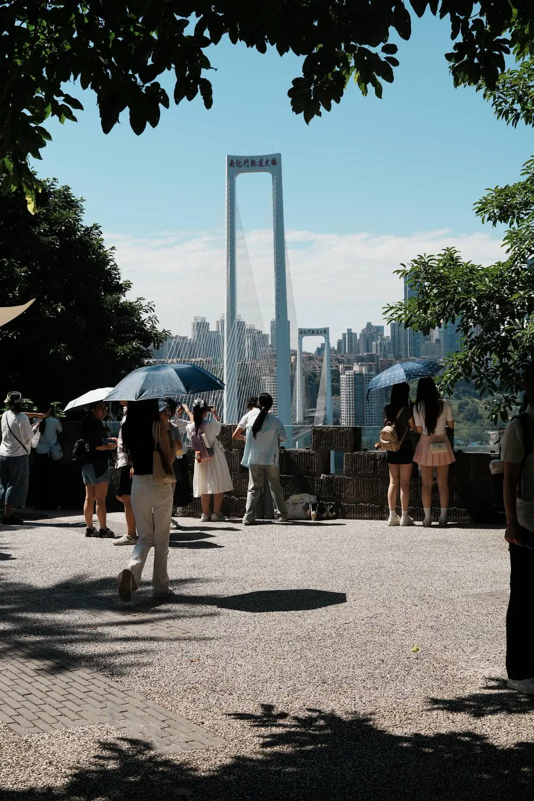 实践团在城市观景平台眺望重庆